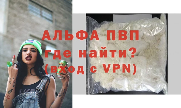 стафф Алексин