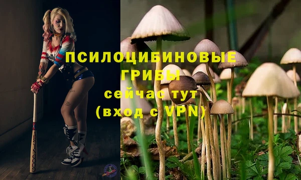 амфетамин Алзамай