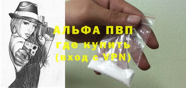 стафф Алексин