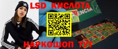 стафф Кингисепп