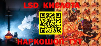 стафф Кингисепп