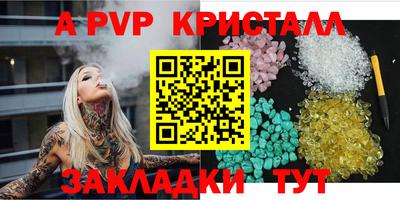 стафф Кингисепп