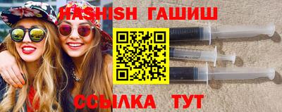 стафф Кингисепп