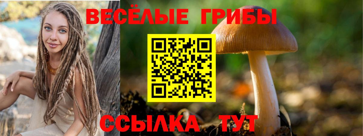 Псилоцибиновые грибы Psilocybine cubensis  Галлюциногенные грибы Psilocybe  Урай  Вход с VPN 